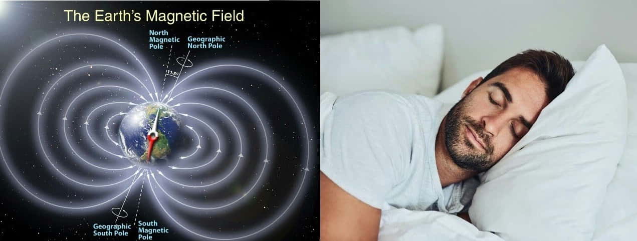 Not Sleep With Head Towards North