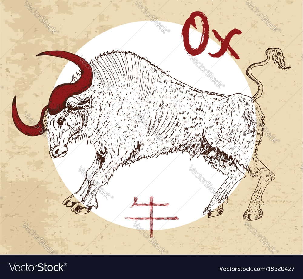 Ox In Chinese Astrology