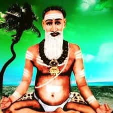 பட்டுக்கோட்டை வெங்கிடு சாமியார்