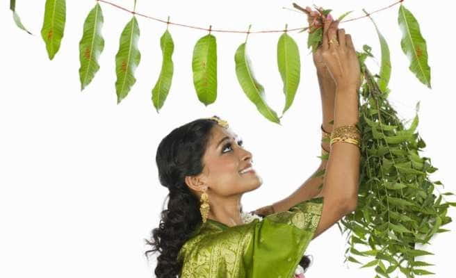 Why Mango And Neem Leaves
