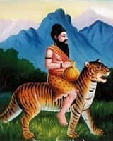 புலிப்பாணி