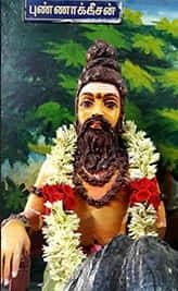 புண்ணாக்கீசர்