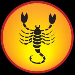 Prediction For Persons Born With Scorpio Sign