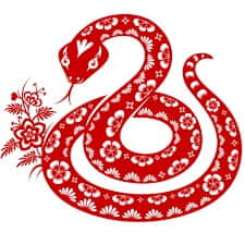 Snake In Chinese Astrology