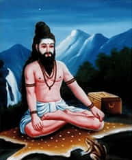 தேரையர்