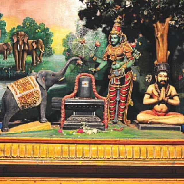 திருவானைக்காவல்