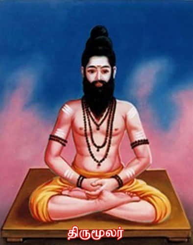 திருமூலர்